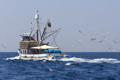 zawód - Technik rybołówstwa morskiego